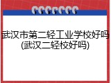 武汉市第二轻工业学校好吗(武汉二轻校好吗)