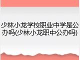 少林小龙学校职业中学是公办吗(少林小龙职中公办吗)