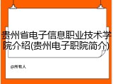 贵州省电子信息职业技术学院介绍(贵州电子职院简介)