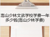 嵩山少林文武学校学费一年多少钱(嵩山少林学费)