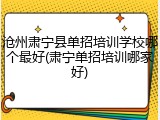 沧州肃宁县单招培训学校哪个最好(肃宁单招培训哪家好)
