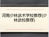 河南少林武术学校推荐(少林武校推荐)