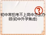 初中害怕考不上高中怎么办呀(初中升学焦虑)