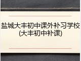 盐城大丰初中课外补习学校(大丰初中补课)