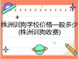 株洲训狗学校价格一般多少(株洲训狗收费)