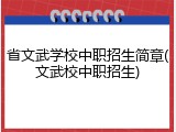 省文武学校中职招生简章(文武校中职招生)