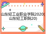 山东轻工业职业学院2020(山东轻工职院20)