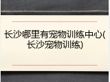 长沙哪里有宠物训练中心(长沙宠物训练)