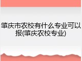肇庆市农校有什么专业可以报(肇庆农校专业)
