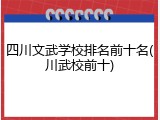 四川文武学校排名前十名(川武校前十)