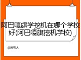 阿巴嘎旗学挖机在哪个学校好(阿巴嘎旗挖机学校)