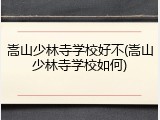 嵩山少林寺学校好不(嵩山少林寺学校如何)