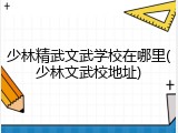 少林精武文武学校在哪里(少林文武校地址)