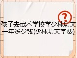 孩子去武术学校学少林功夫一年多少钱(少林功夫学费)