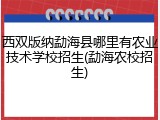 西双版纳勐海县哪里有农业技术学校招生(勐海农校招生)