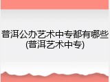 普洱公办艺术中专都有哪些(普洱艺术中专)