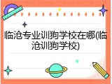 临沧专业训狗学校在哪(临沧训狗学校)