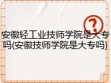 安徽轻工业技师学院是大专吗(安徽技师学院是大专吗)