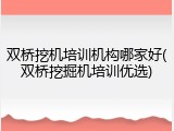 双桥挖机培训机构哪家好(双桥挖掘机培训优选)