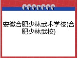 安徽合肥少林武术学校(合肥少林武校)