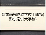 黔东南宠物狗学校上哪找(黔东南训犬学校)
