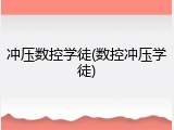 冲压数控学徒(数控冲压学徒)