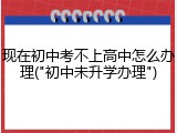 现在初中考不上高中怎么办理("初中未升学办理")
