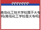 青岛化工技术学校属于大专吗(青岛化工学校是大专吗)