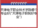 天津电子职业技术学院哪个专业好("天津电子职院好专业")