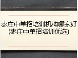 枣庄中单招培训机构哪家好(枣庄中单招培训优选)