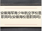 安徽海军青少年航空学校是职高吗(安徽海校是职高吗)