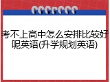 考不上高中怎么安排比较好呢英语(升学规划英语)