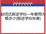 封闭式叛逆学校一年费用大概多少(叛逆学校年费)