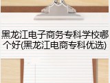 黑龙江电子商务专科学校哪个好(黑龙江电商专科优选)