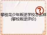 攀枝花少年叛逆学校怎么样(攀校叛逆评价)