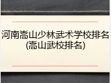 河南嵩山少林武术学校排名(嵩山武校排名)