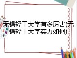 无锡轻工大学有多厉害(无锡轻工大学实力如何)