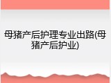母猪产后护理专业出路(母猪产后护业)