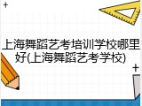 上海舞蹈艺考培训学校哪里好(上海舞蹈艺考学校)