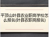 平顶山叶县农业职高学校怎么报名(叶县农职高报名)