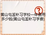 黄山屯溪补习学校一年费用多少钱(黄山屯溪补习学费)