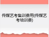 传媒艺考集训费用(传媒艺考培训费)