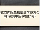 鹤岗向阳单招集训学校怎么样(鹤岗单招学校如何)