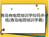 青岛有电商培训学校吗多少钱(青岛电商培训学费)