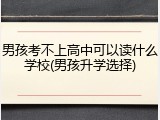 男孩考不上高中可以读什么学校(男孩升学选择)