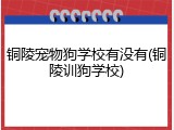 铜陵宠物狗学校有没有(铜陵训狗学校)