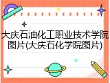 大庆石油化工职业技术学院图片(大庆石化学院图片)