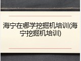 海宁在哪学挖掘机培训(海宁挖掘机培训)
