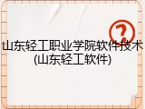 山东轻工职业学院软件技术(山东轻工软件)