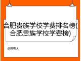 合肥贵族学校学费排名榜(合肥贵族学校学费榜)
